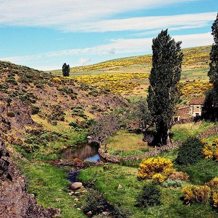 Casa Rural La Vereilla Barajas de Gredos Exteriör bild