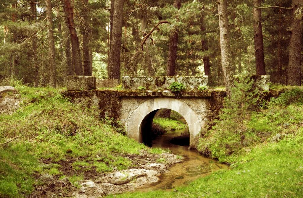 Casa Rural La Vereilla Barajas de Gredos Exteriör bild